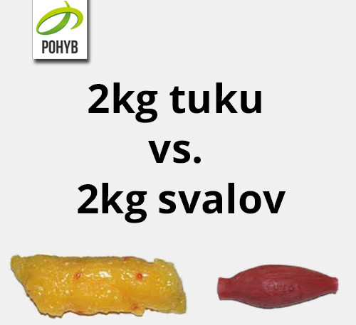 2kg tuku vs 2kg svalov pohyb.sk