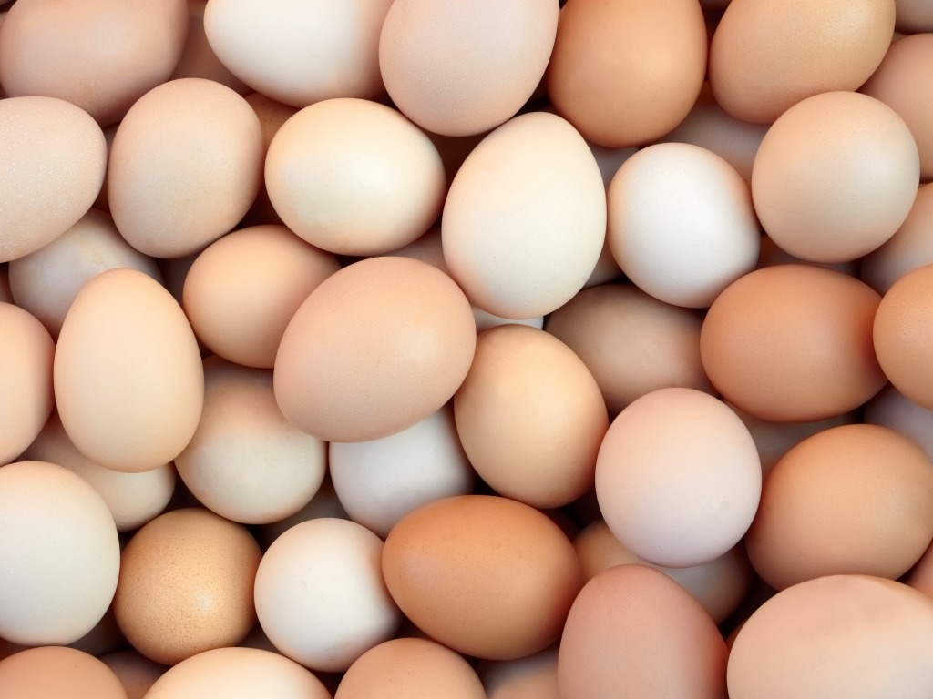 Vajce, vajcia - najlepšie potraviny a strava pre športovcov atlétov pohyb.sk