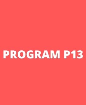 PROGRAM P13 minimalistický treningový systém